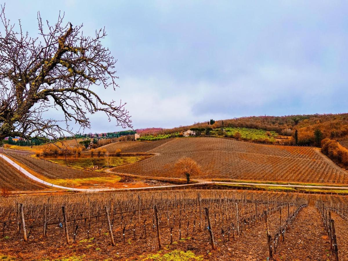 Podere Le Vigne 4* Radda in Chianti