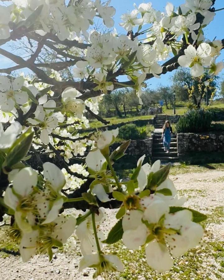 Hotel Podere Le Vigne 4*