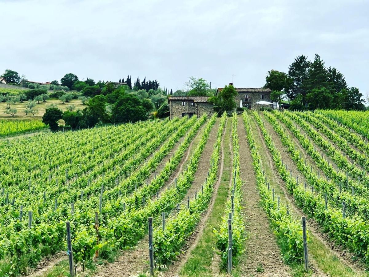 Podere Le Vigne Radda in Chianti